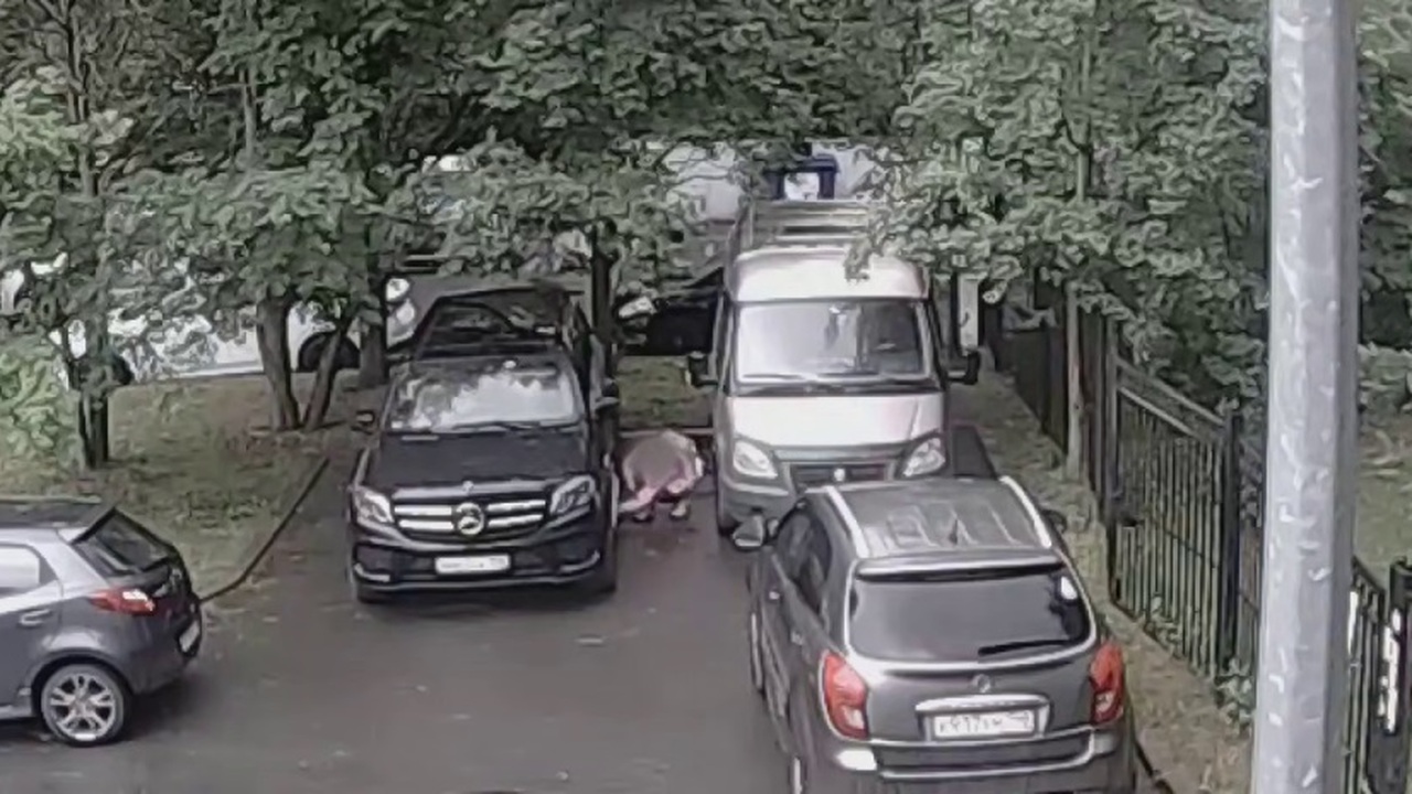 В Петербурге 23-летнюю девушку задержали при попытке заложить бомбу В Санкт-Петербурге 23-летнюю девушку задержали ...