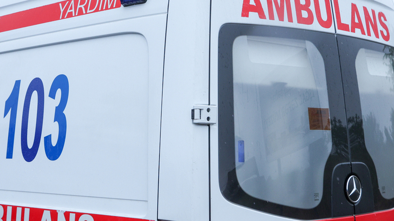 В 2001 году Тереза Милбрандт, медсестра из мале...