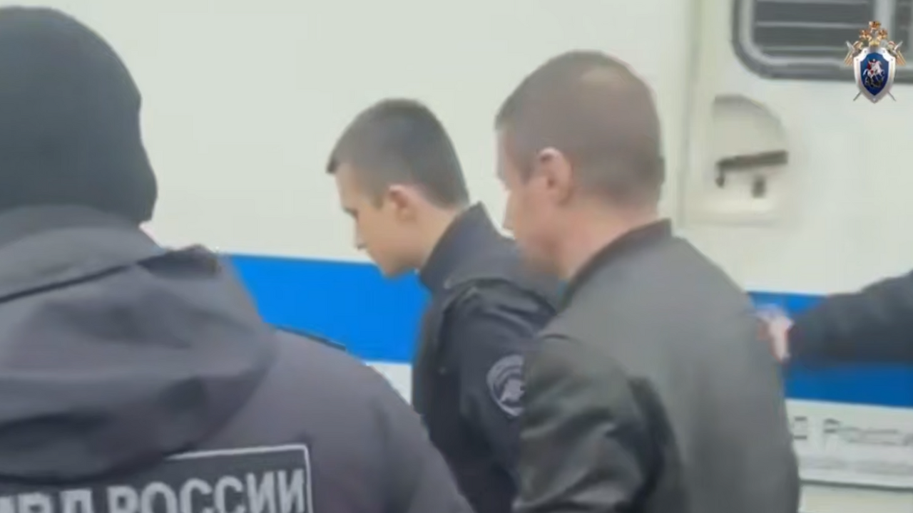 Серийного похитителя нянь задержали в Подмосковье.