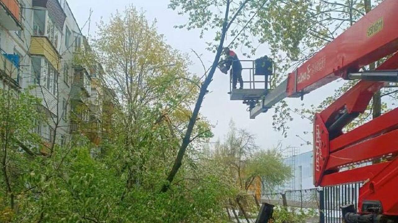 Жители нескольких подмосковных городов уже третьи сутки сидят без света, отопления и связи из-за циклона Жители нескольких подмосковных городов уже трет...
