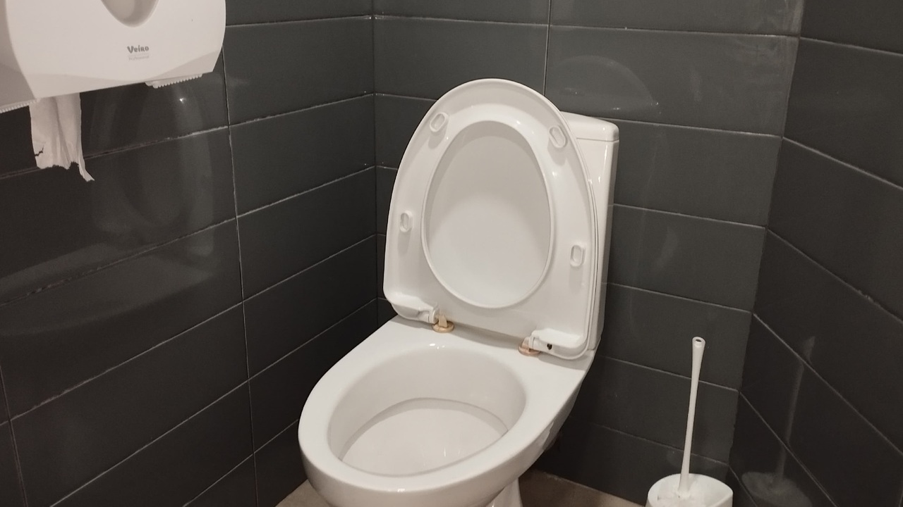 Переход на биде: инновационные технологии, экон...