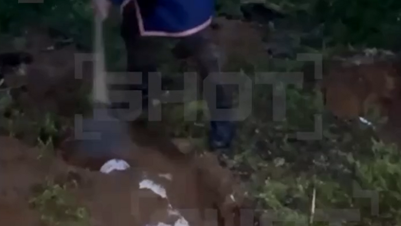В Ленобласти провели обряд погребения заживо Двух людей выкопали из могилы в Ленобласти, где...