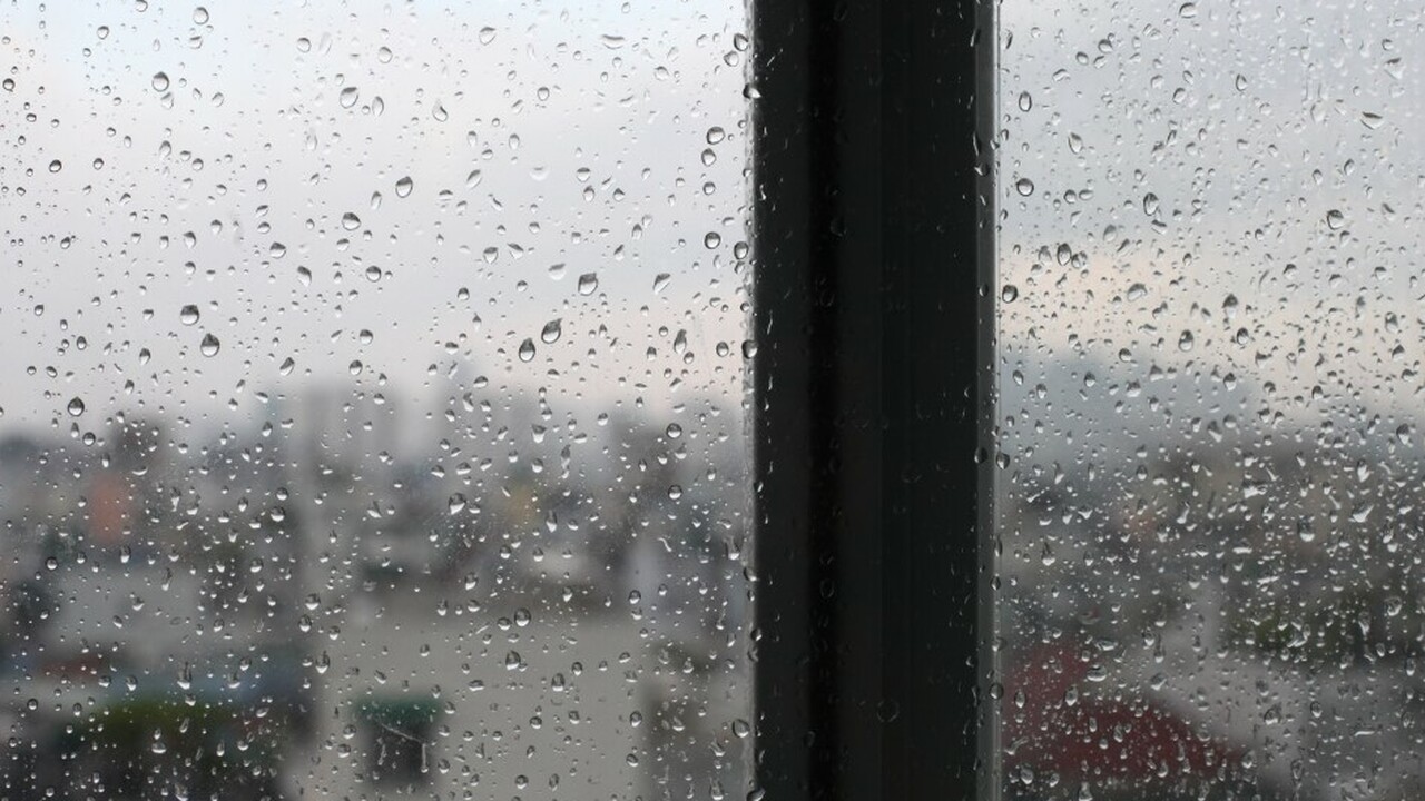 Зимой на оконных стеклах часто появляется конде...