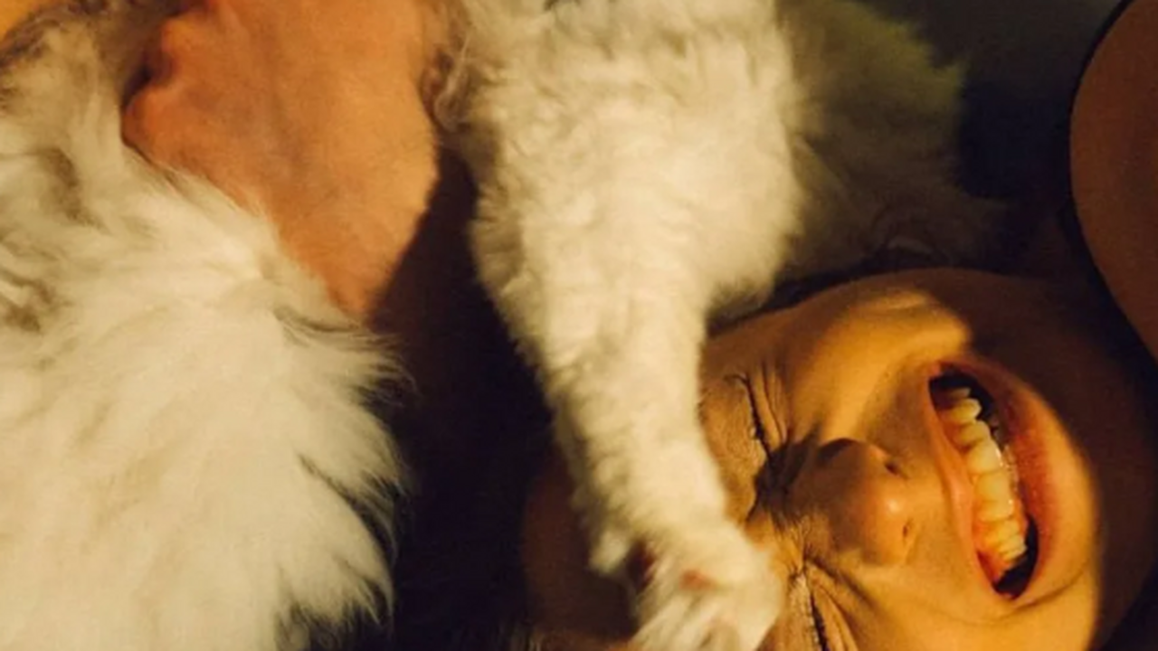 В Мытищах произошло жестокое убийство: супруги ...