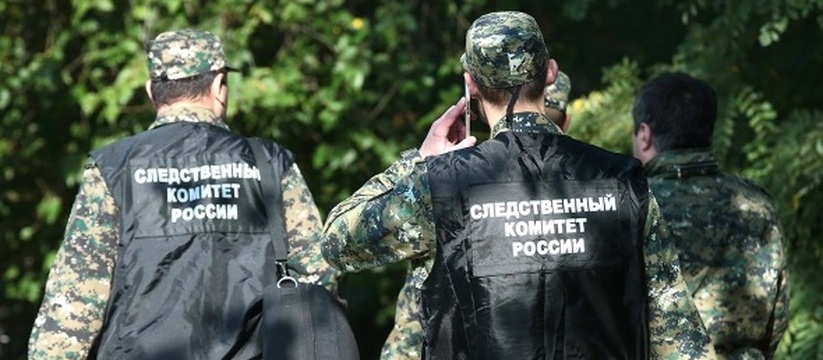 Следком сообщил о возбуждении уголовного дела о...