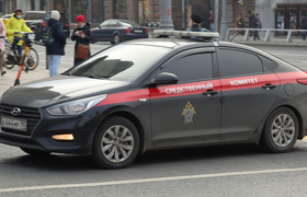 Труп новорожденого с множеством ножевых ранений...