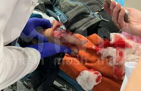 В Подмосковье 9-летний ребенок поднял с земли к...