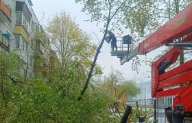 Жители нескольких подмосковных городов уже трет...