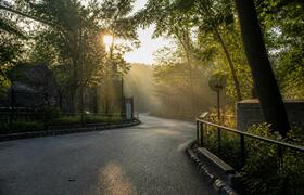 Умерла директор Калининградского зоопарка Светл...